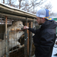 Illustration for article titled Gus Kenworthy Rescued a Puppy at the Olympics Again, This Time From a Dog Meat Farm